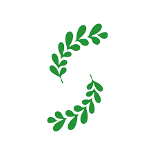 Salvus logo